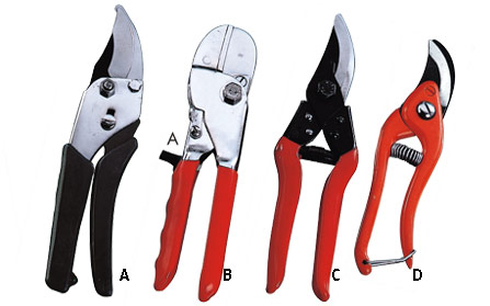 PRUNING SECATEURS
