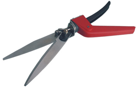 GRASS SHEAR